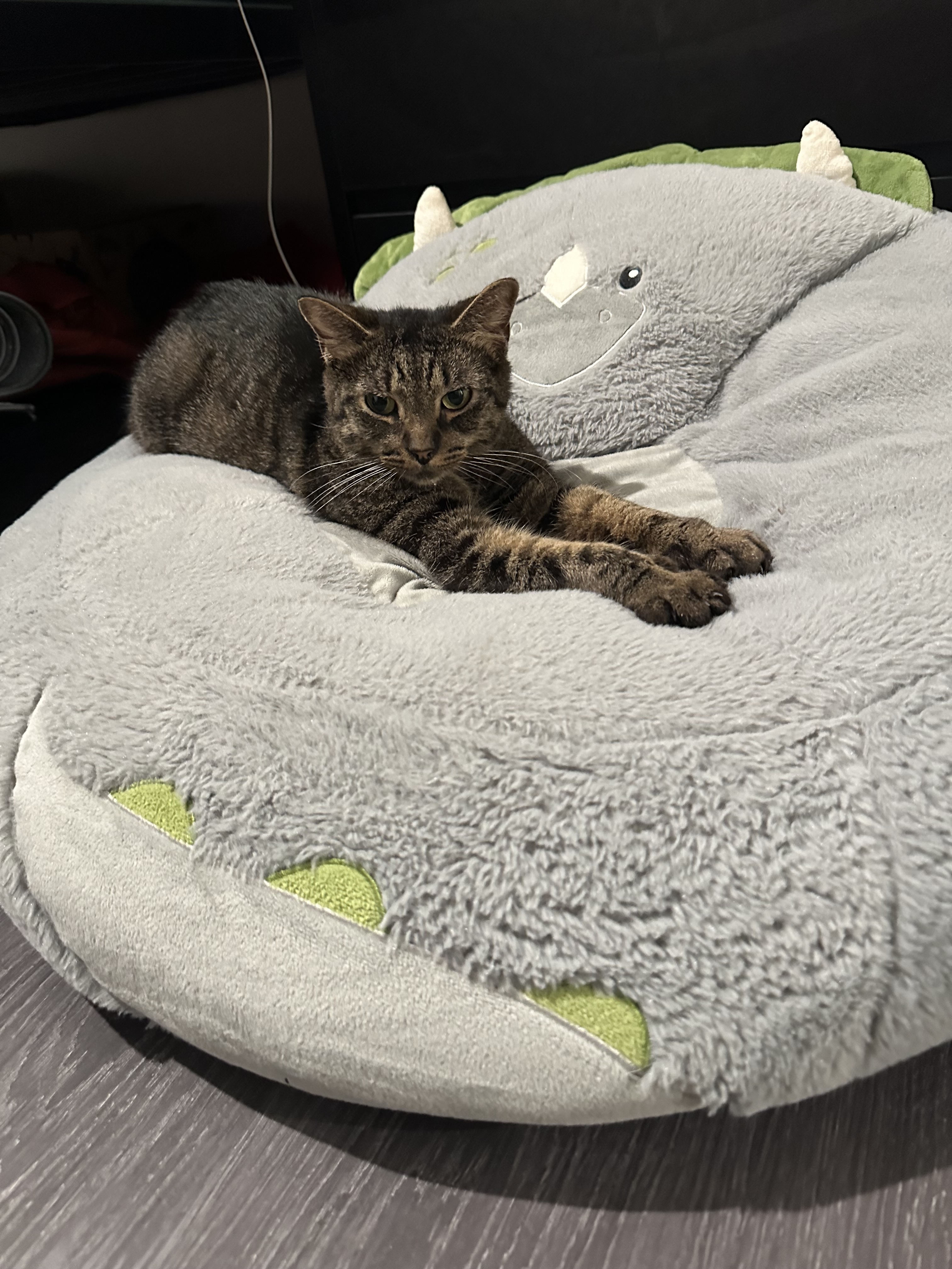 A lying on a stuffed rhino